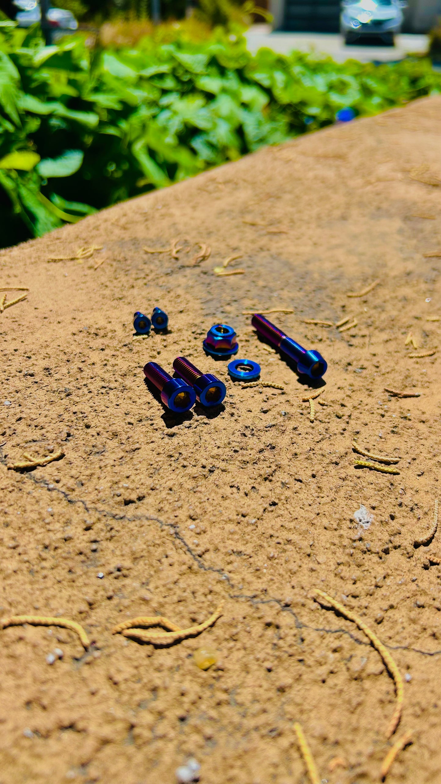 FULL Ultra Bee Brake Titanium Kit