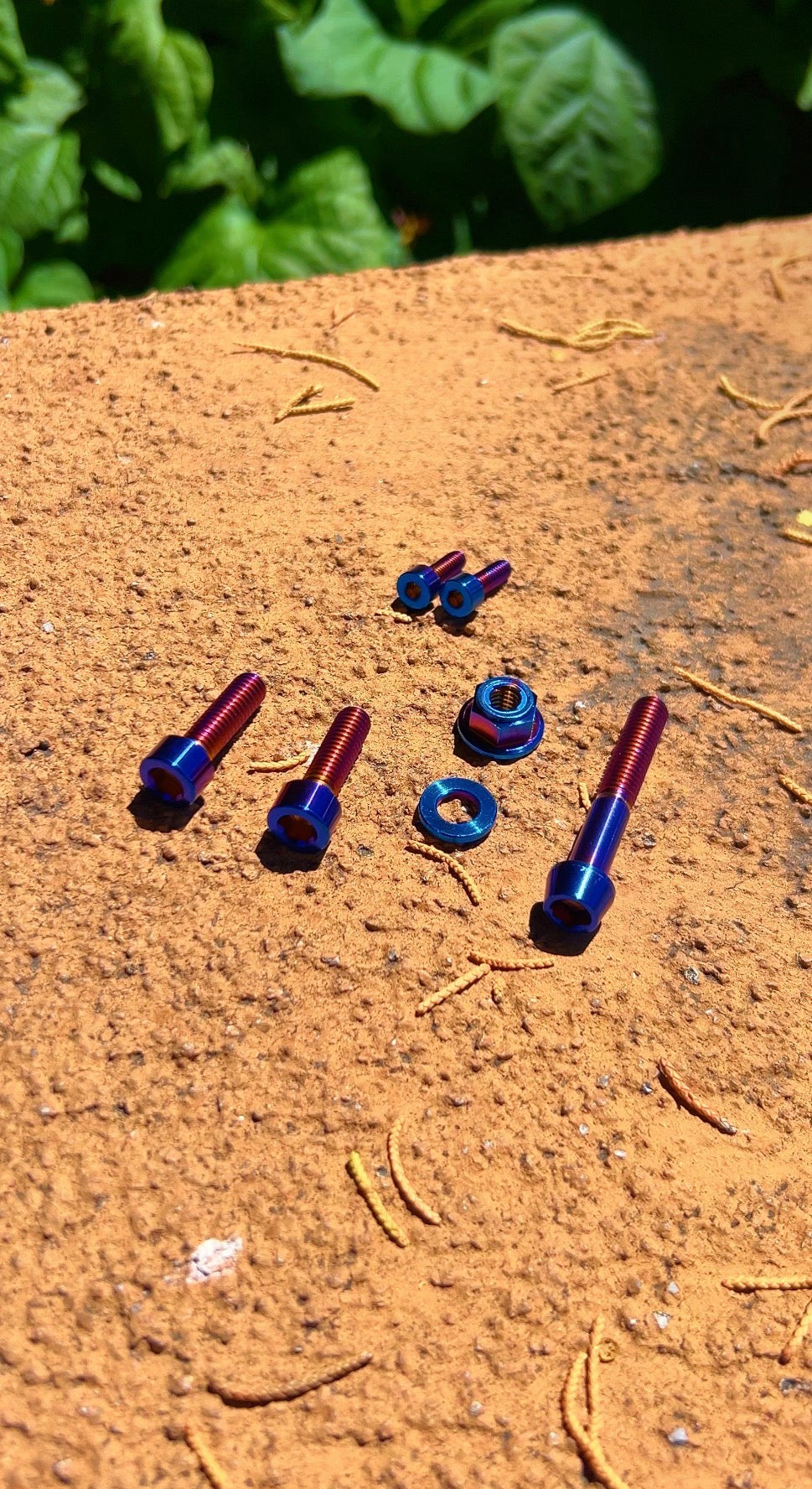 FULL Ultra Bee Brake Titanium Kit